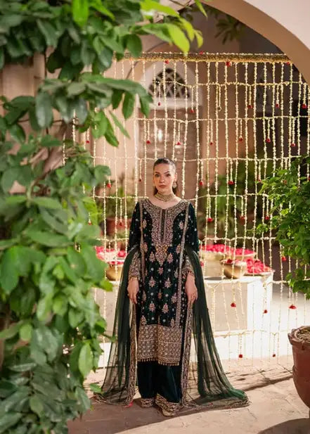 HASEENS LUXURY CHIFFON COLLECTION