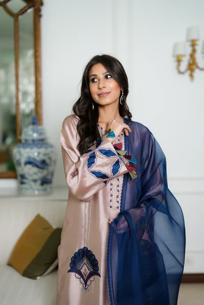 ANEELA’S  SILK  COLLECTION
