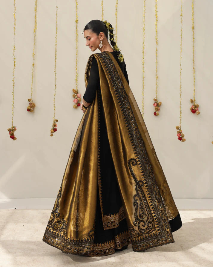 ANEELA’S  SILK  COLLECTION