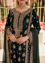 HASEENS LUXURY CHIFFON COLLECTION