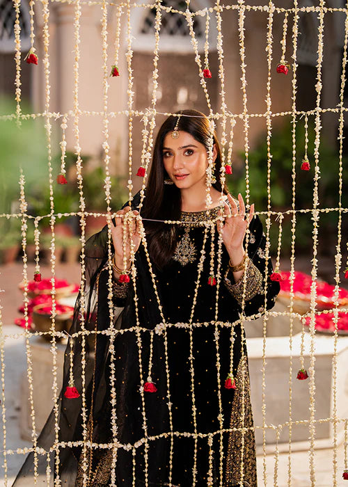 HASEENS LUXURY CHIFFON COLLECTION