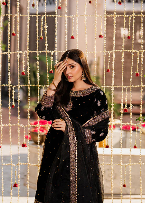 HASEENS LUXURY CHIFFON COLLECTION