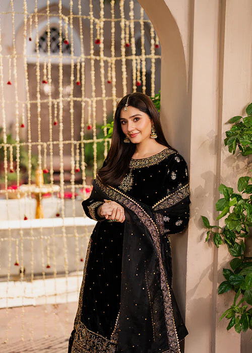HASEENS LUXURY CHIFFON COLLECTION