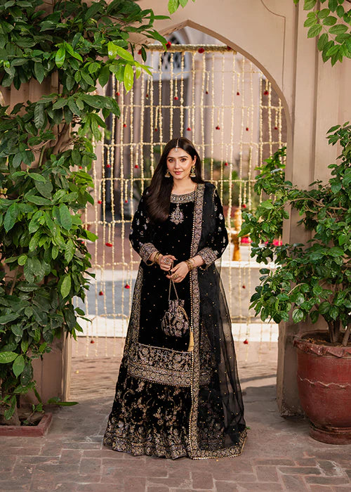 HASEENS LUXURY CHIFFON COLLECTION