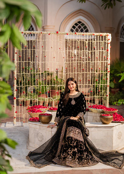 HASEENS LUXURY CHIFFON COLLECTION