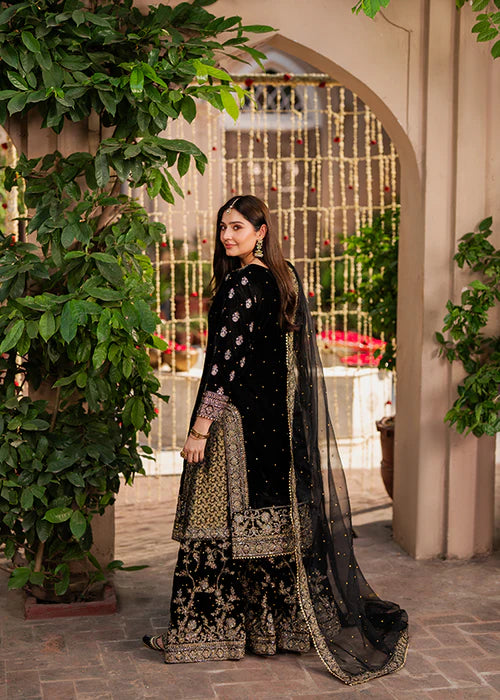 HASEENS LUXURY CHIFFON COLLECTION