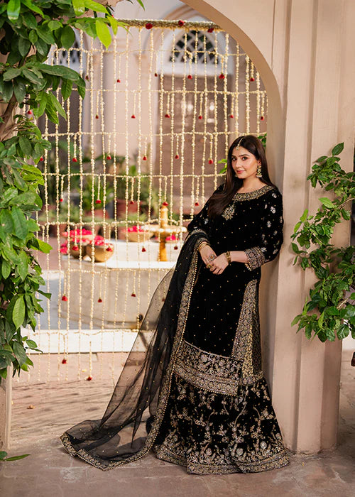 HASEENS LUXURY CHIFFON COLLECTION