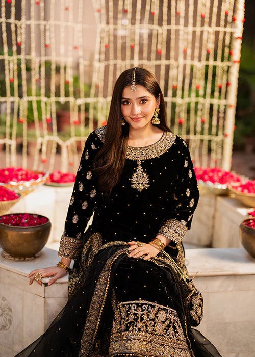 HASEENS LUXURY CHIFFON COLLECTION